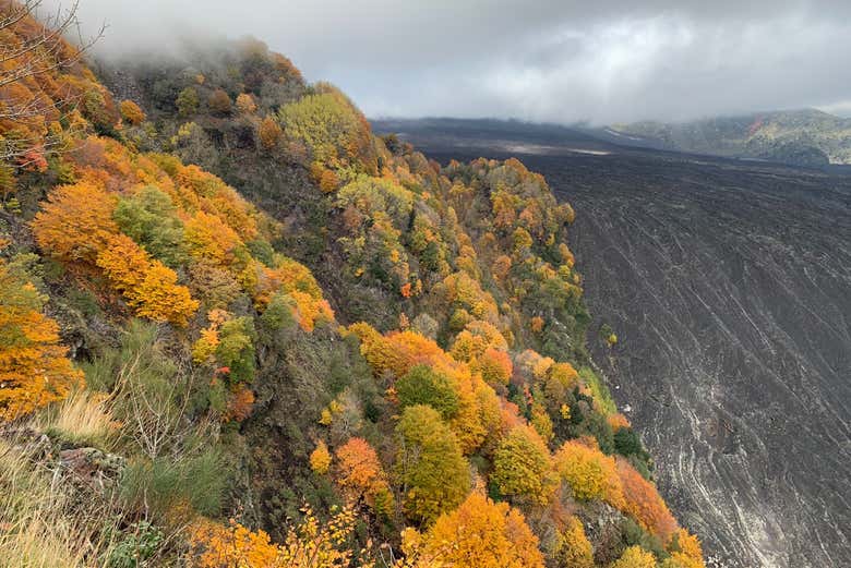 Disfrutando del tour en 4x4 por el Etna