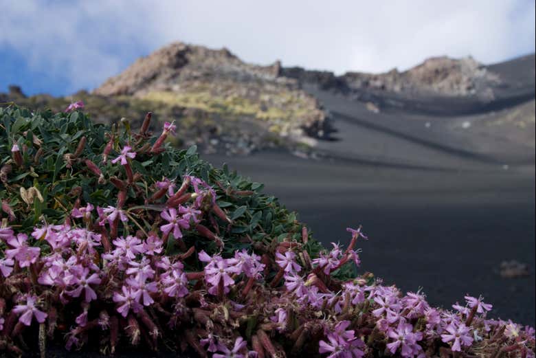 Paisajes del Etna