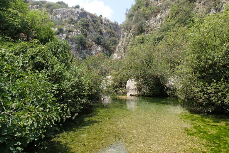 Immersi nel verde