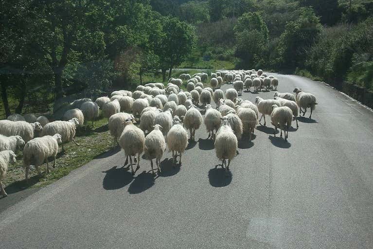 Percorrendo caminhos rurais