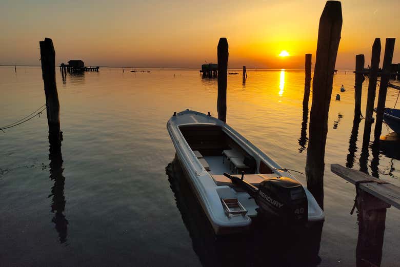 Hop onboard this charming boat