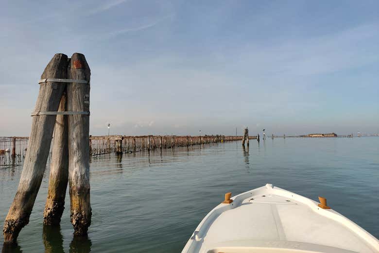 Immerse yourself in the lagoon's tranquility