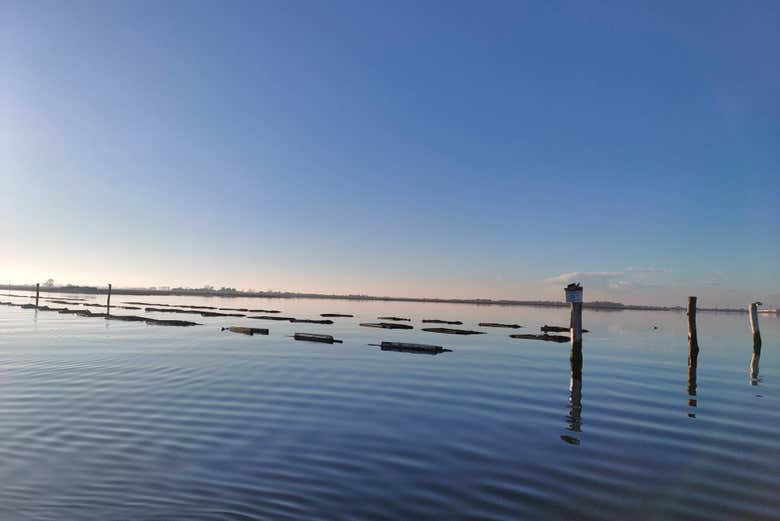 Admire the tranquil Venetian Lagoon