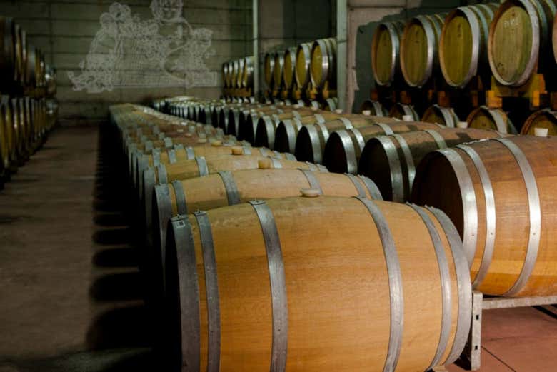 Le botti della cantina Pietro Nera