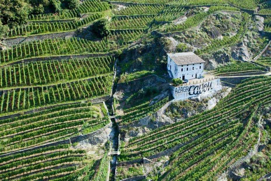 Degustazione di vino a Chiuro
