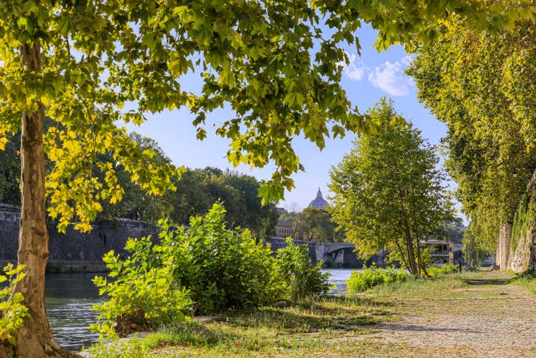 Il lungotevere di Roma