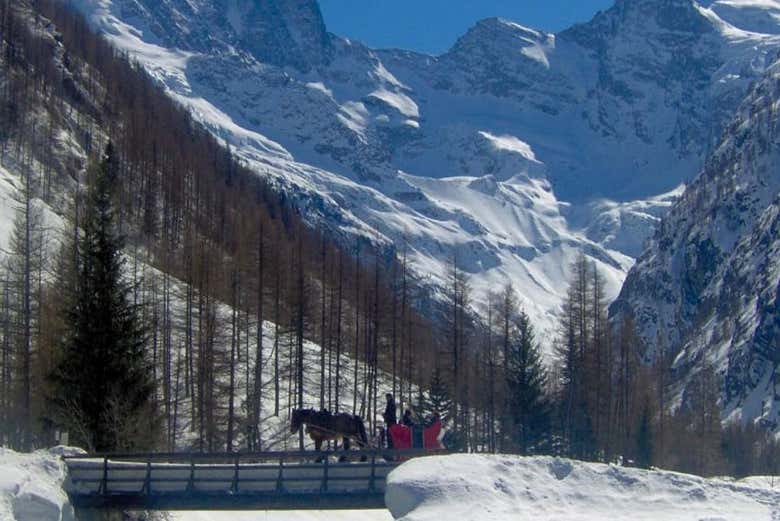 Profiter d'une balade en calèche dans les Alpes italiennes