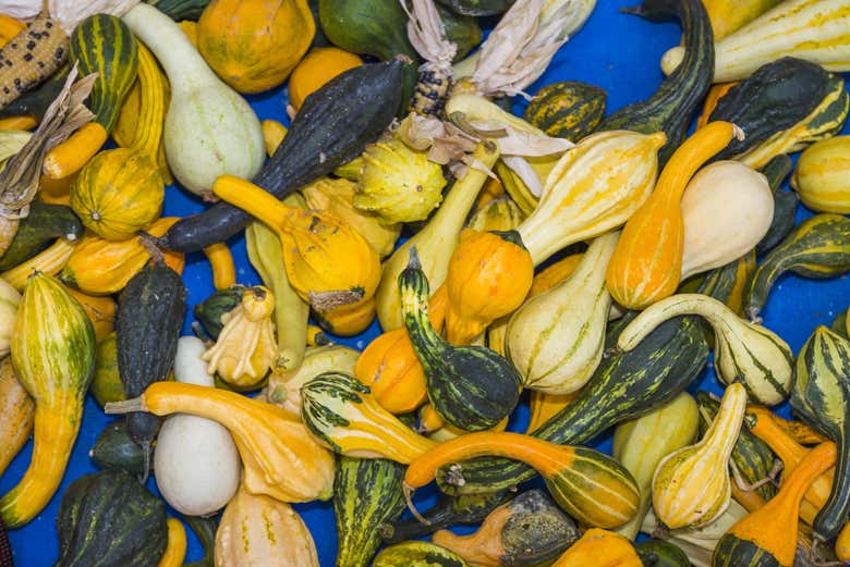 Vegetables at the Cuneo market