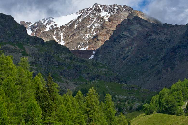 Stelvio National Park