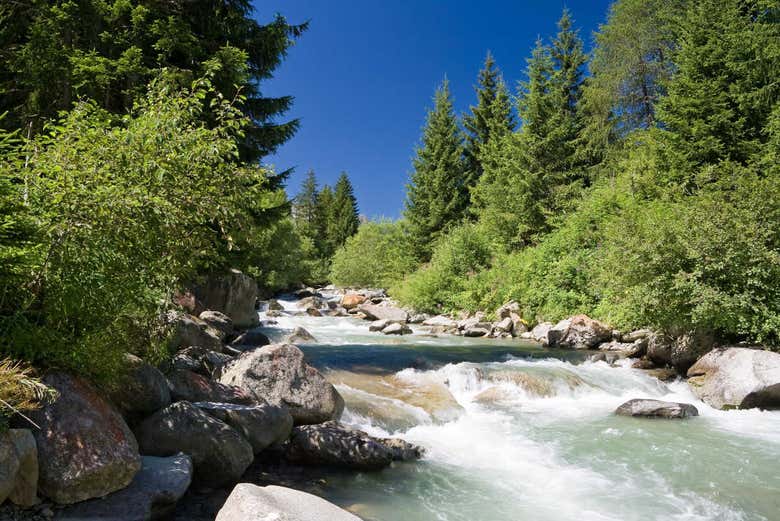 Nature de Presanella