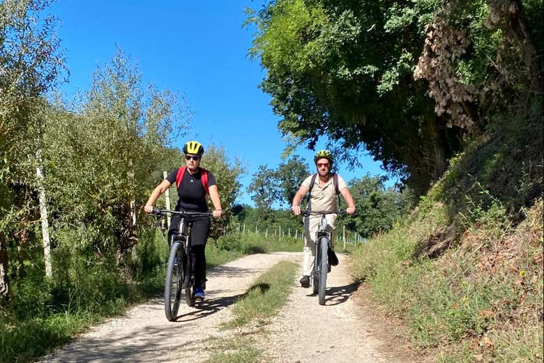 Recorrido en bicicleta por la campiña del lago de Garda
