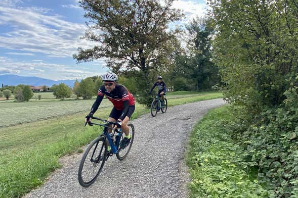 Tour en bicicleta eléctrica por Desenzano del Garda + Cata de vinos