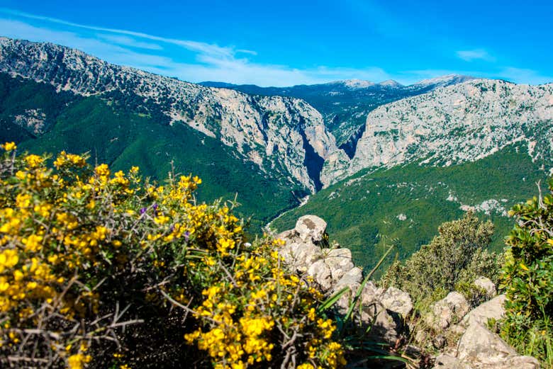 Gorropu canyon