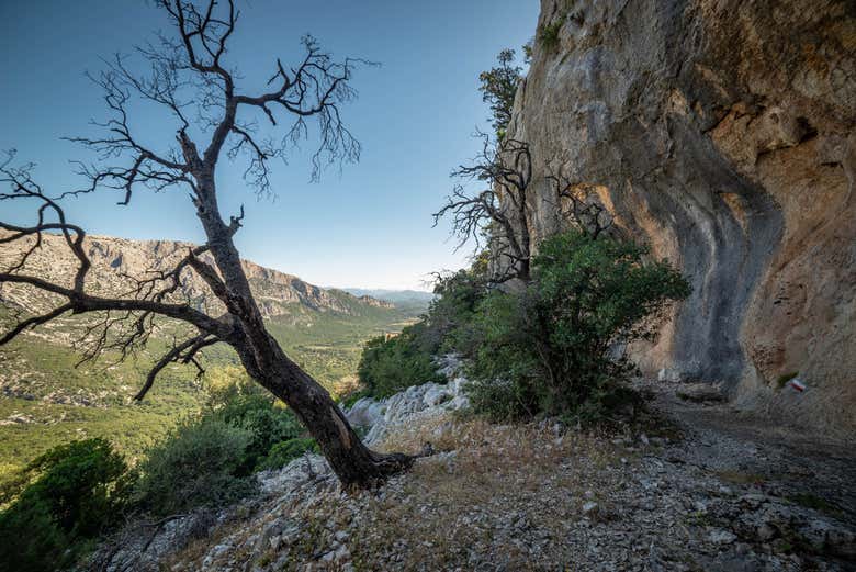 Admiring the view from Mount Tiscali
