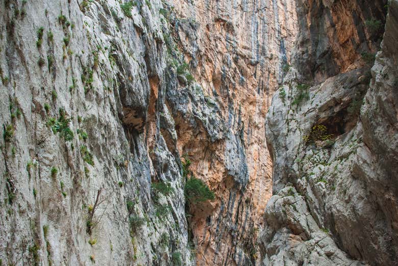 The walls of Gorropu Gorge