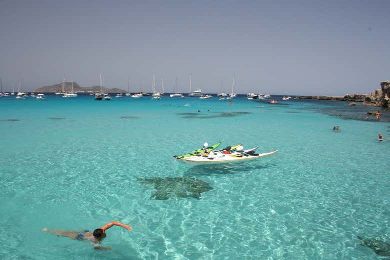 Águas cristalinas do sul de Favignana