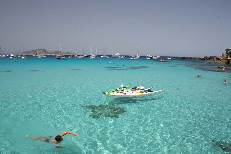 Aguas cristalinas del sur de Favignana