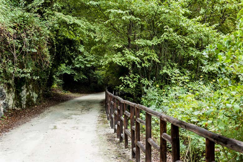 I sentieri della Riserva naturale di Pantalica