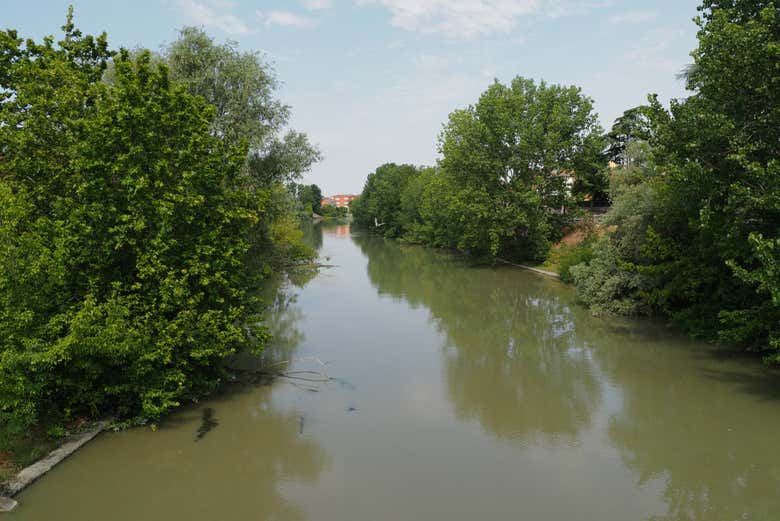 Vous naviguerez au milieu de la végétation