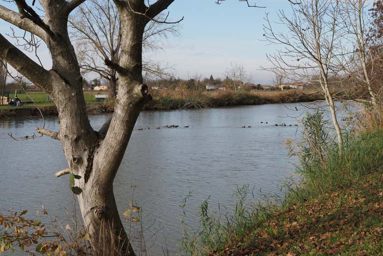 Au bord de la rivière