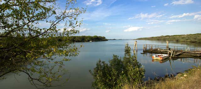 Paseo en barco por la Reserva Natural Po di Volano