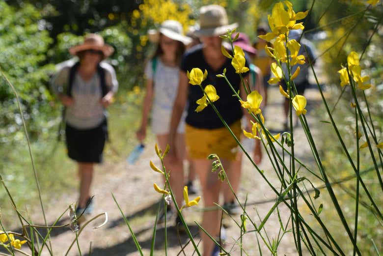 Durante l'itinerario di trekking
