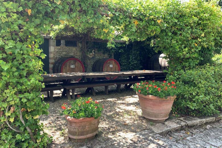 Visitaremos una bodega