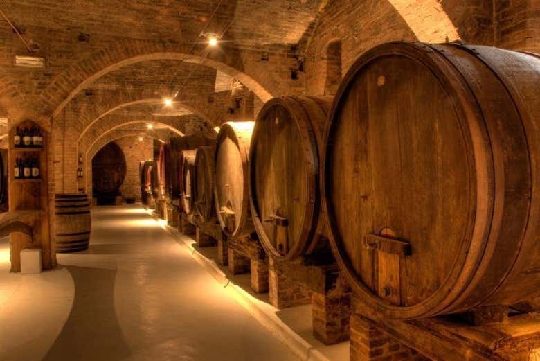 Visite de l'une des caves