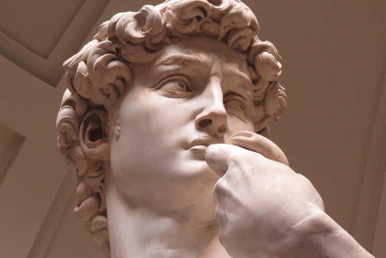 Detalle de la cabeza del David de Miguel Ángel 
