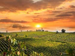 Tramonto a Chianti