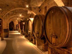 Visitando una bottega a Chianti