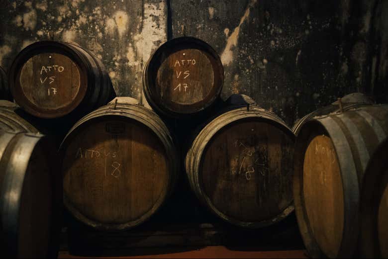 Barris de uma vinícola de Chianti