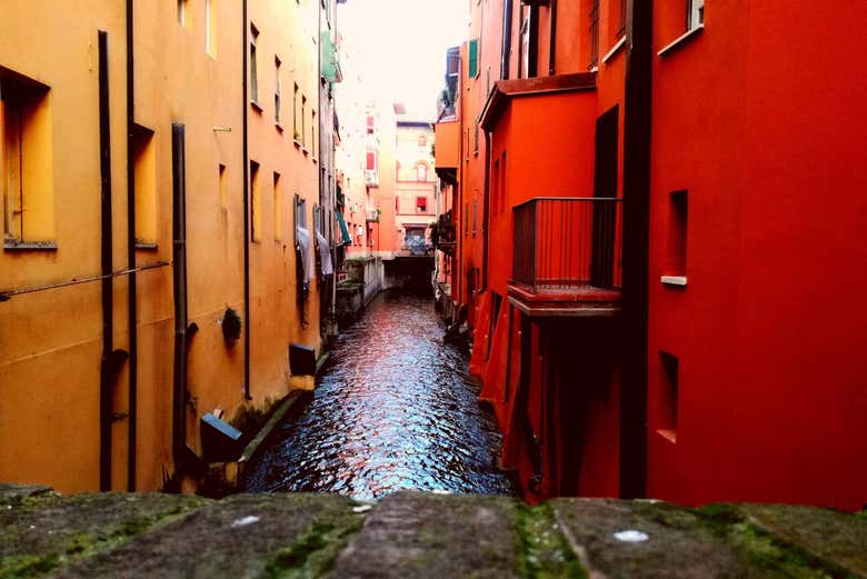 Admire the Canal delle Moline