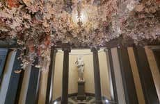 Visite des pharmacies historiques de Florence