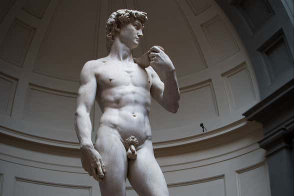Tour privato della Galleria dell'Accademia