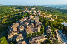 Tour do vinho pelo Chianti em grupo reduzido