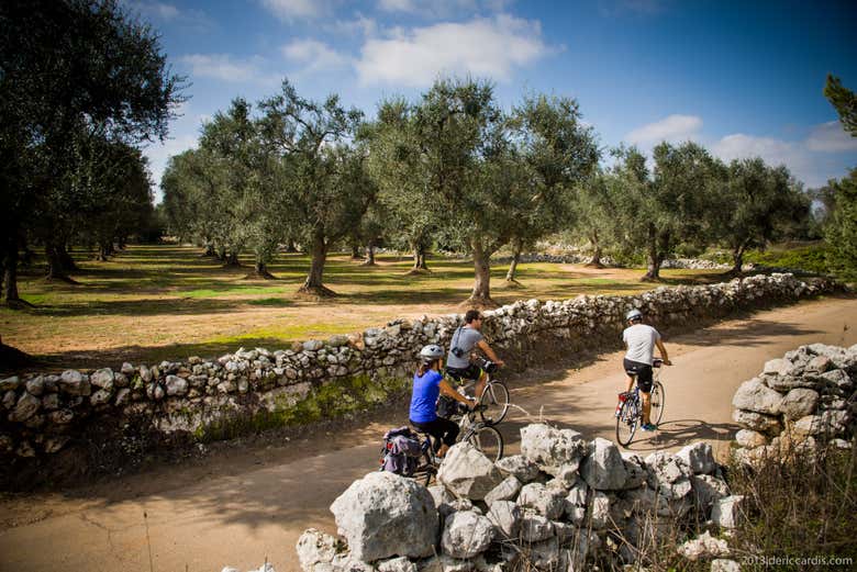 Profitez de la balade à vélo