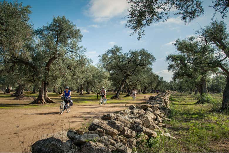 Profitez de la nature locale