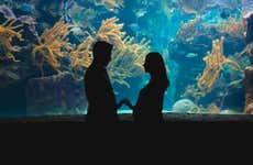 Biglietti per l'Acquario di Genova + Degustazione di panera