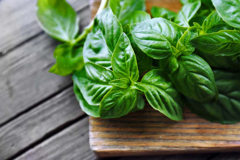 Some fresh basil