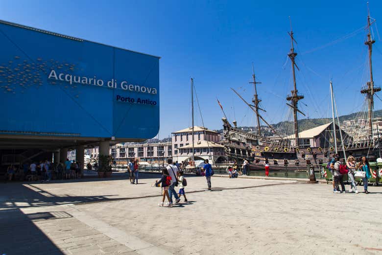 Levate l'ancora!