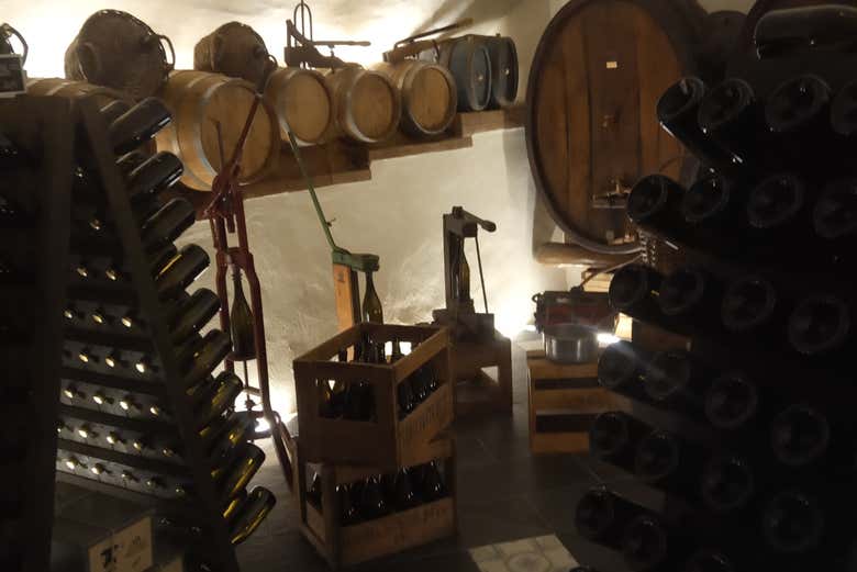 Le botti della vinoteca