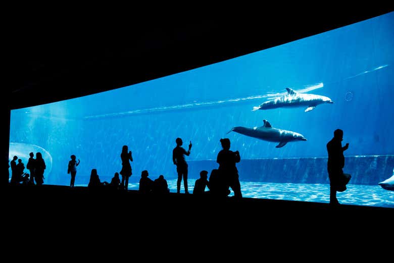 Le vasche dell'Acquario di Genova