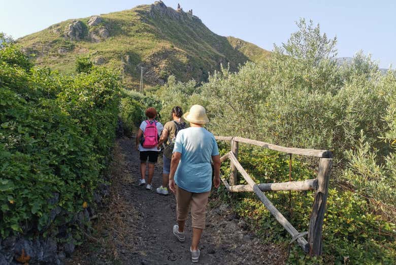 Caminando entre la vegetación de la zona