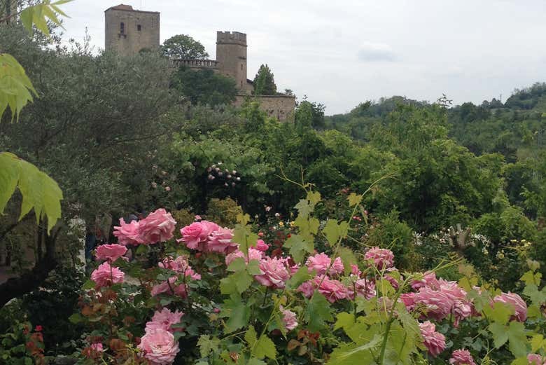 Le rose del Parco delle Fiabe