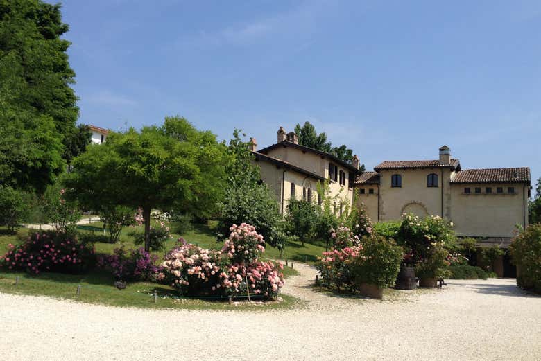 Medieval tavern at Gropparello Castle