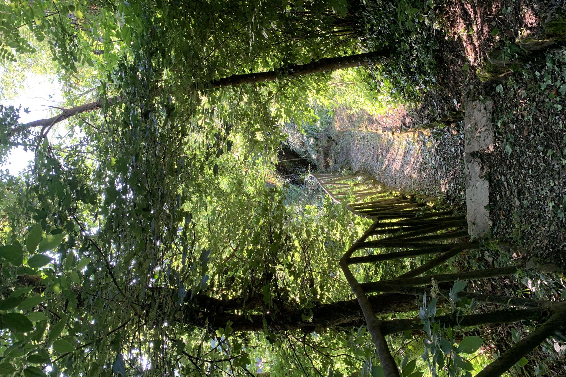 Visite des gorges de Vezzeno