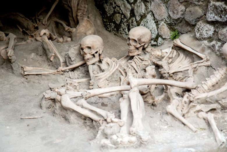 Scheletri nel sito archeologico di Ercolano