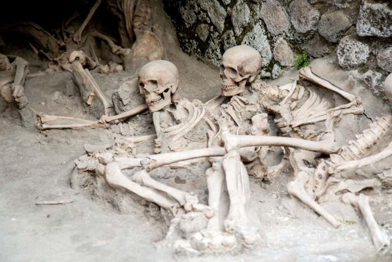 Squelettes dans le parc archéologique d'Herculanum