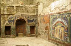 Herculaneum Private Tour